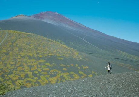 御殿場口新五合目からゆっくり歩いて2 時間ほど、富士山の南側に位置する、二ツ塚を下る佐竹さん。樹林帯の先には、高山植物しか生きられない森林限界が広がる。山に登り、本来の自分を取り戻す。フリーランスPR・佐竹彩さんのひとりの時間のつくり方、楽しみ方。