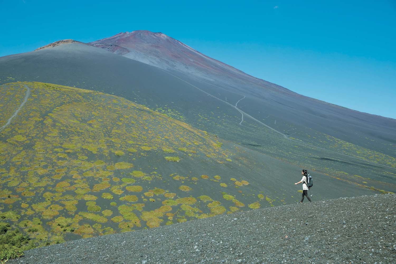 御殿場口新五合目からゆっくり歩いて2 時間ほど、富士山の南側に位置する、二ツ塚を下る佐竹さん。樹林帯の先には、高山植物しか生きられない森林限界が広がる。山に登り、本来の自分を取り戻す。フリーランスPR・佐竹彩さんのひとりの時間のつくり方、楽しみ方。