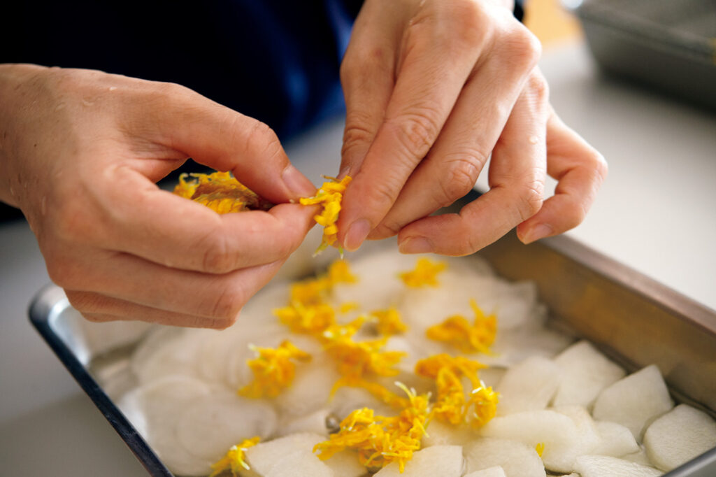 渡辺有子の料理教室 昆布水にカブ、梨、菊花を浸す。下処理した菊花は冷凍保存するとよい。 | 昆布水にカブ、梨、菊花を浸す。下処理した菊花は冷凍保存するとよい。