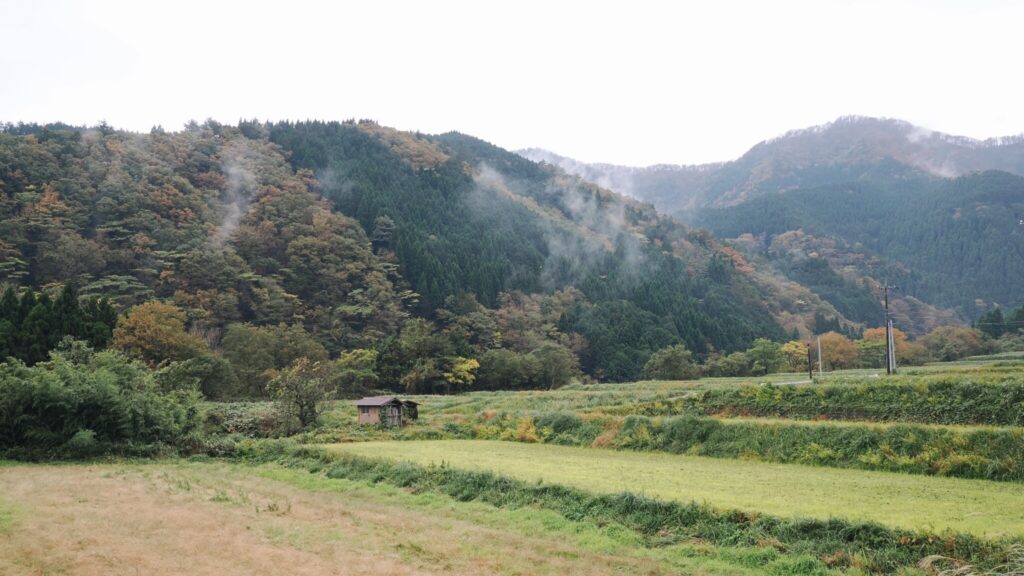 山の暮らし 都会の暮らし 河井菜摘