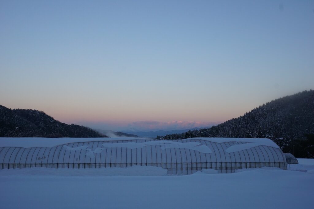 冬がやってくる。真っ白な雪のキャンパスは空の色と呼応する。河井菜摘