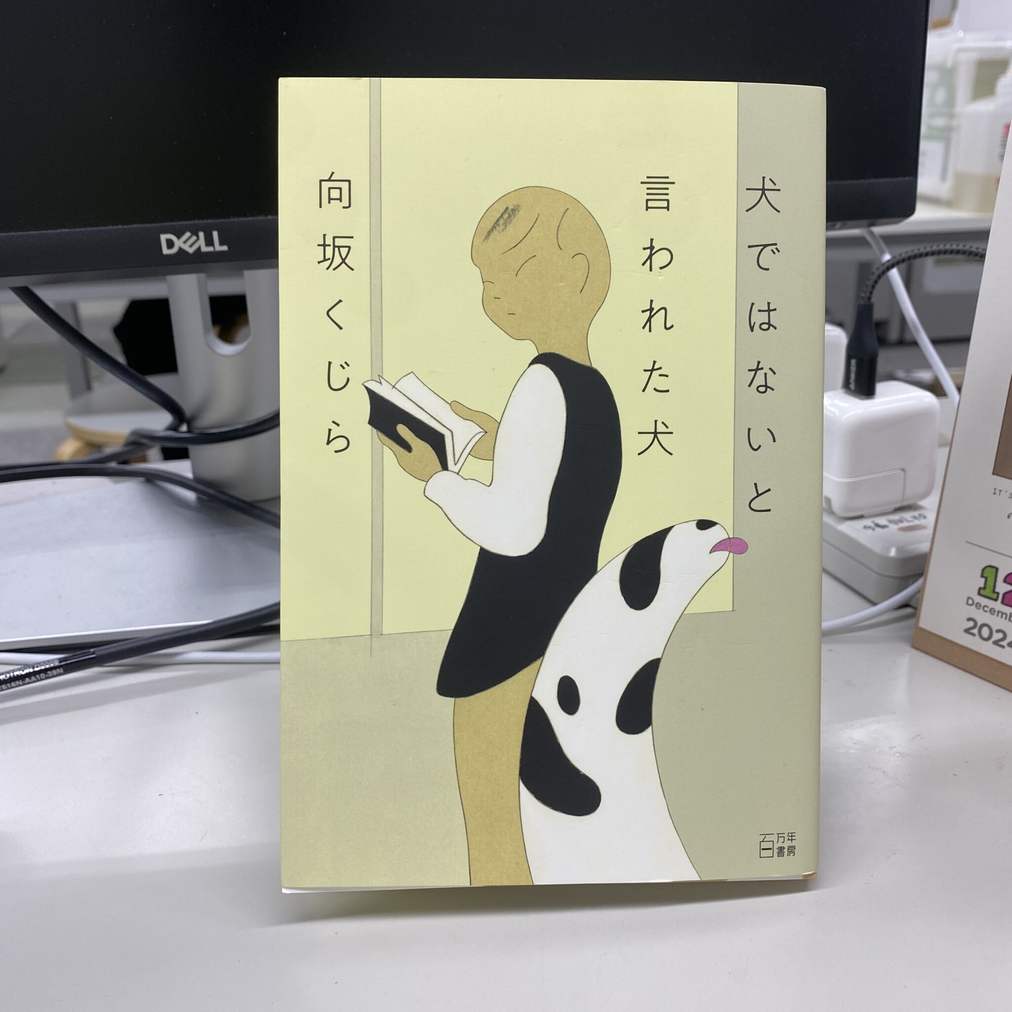 校正者の岩國早苗さんに聞いた、25歳の僕に読んでほしい本。『犬ではないと言われた犬』