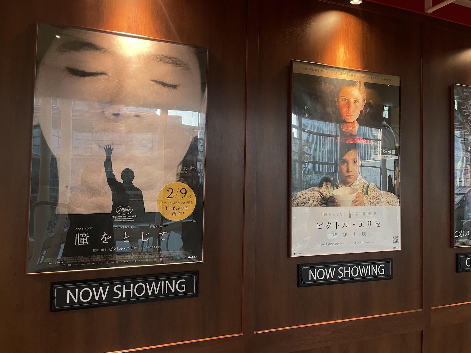 好きな映画がたくさんありすぎて……。編集後記「明日を生きるため