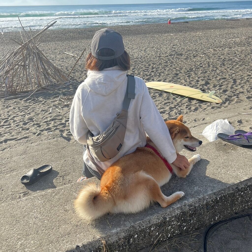 ハルくん、秋の海の日を満喫。柴犬子犬ハルのワンダフルライフ