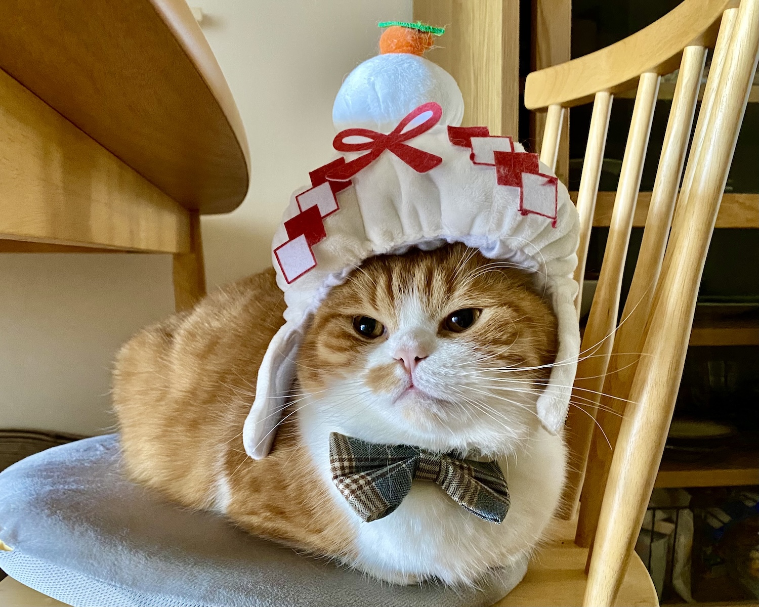 3c3f465aaa3d15247be7bbe164b97a