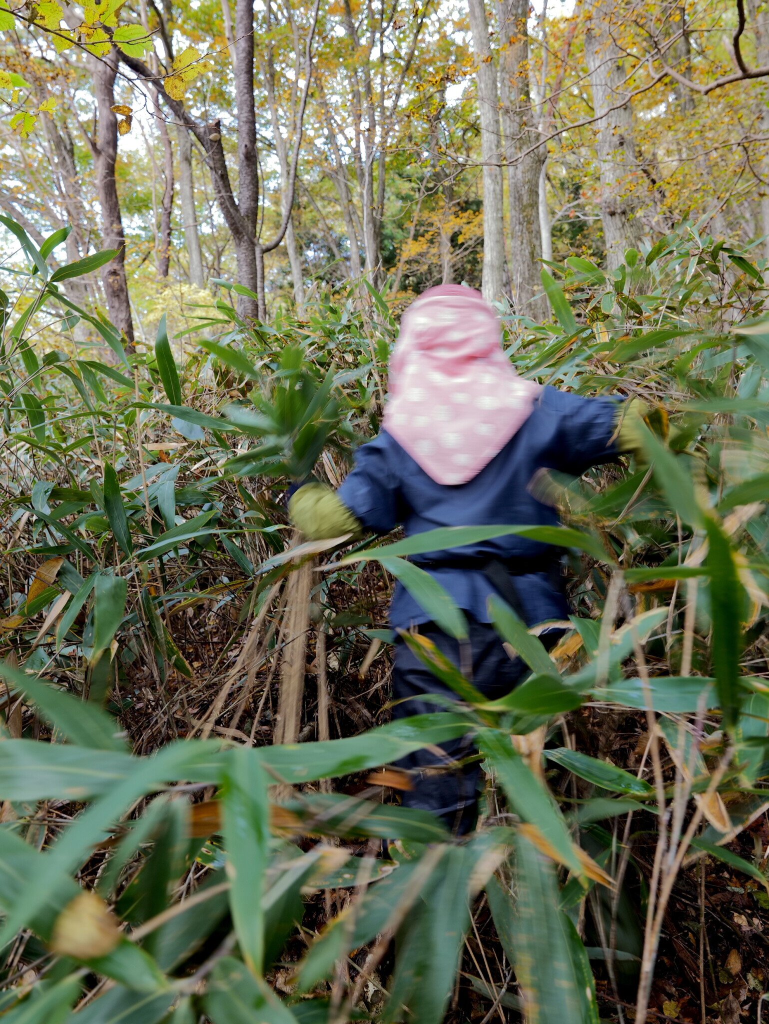 大きい子にも旅をさせよ。鳥越すず竹細工のこと。 連載コラム : 在本彌生 #1