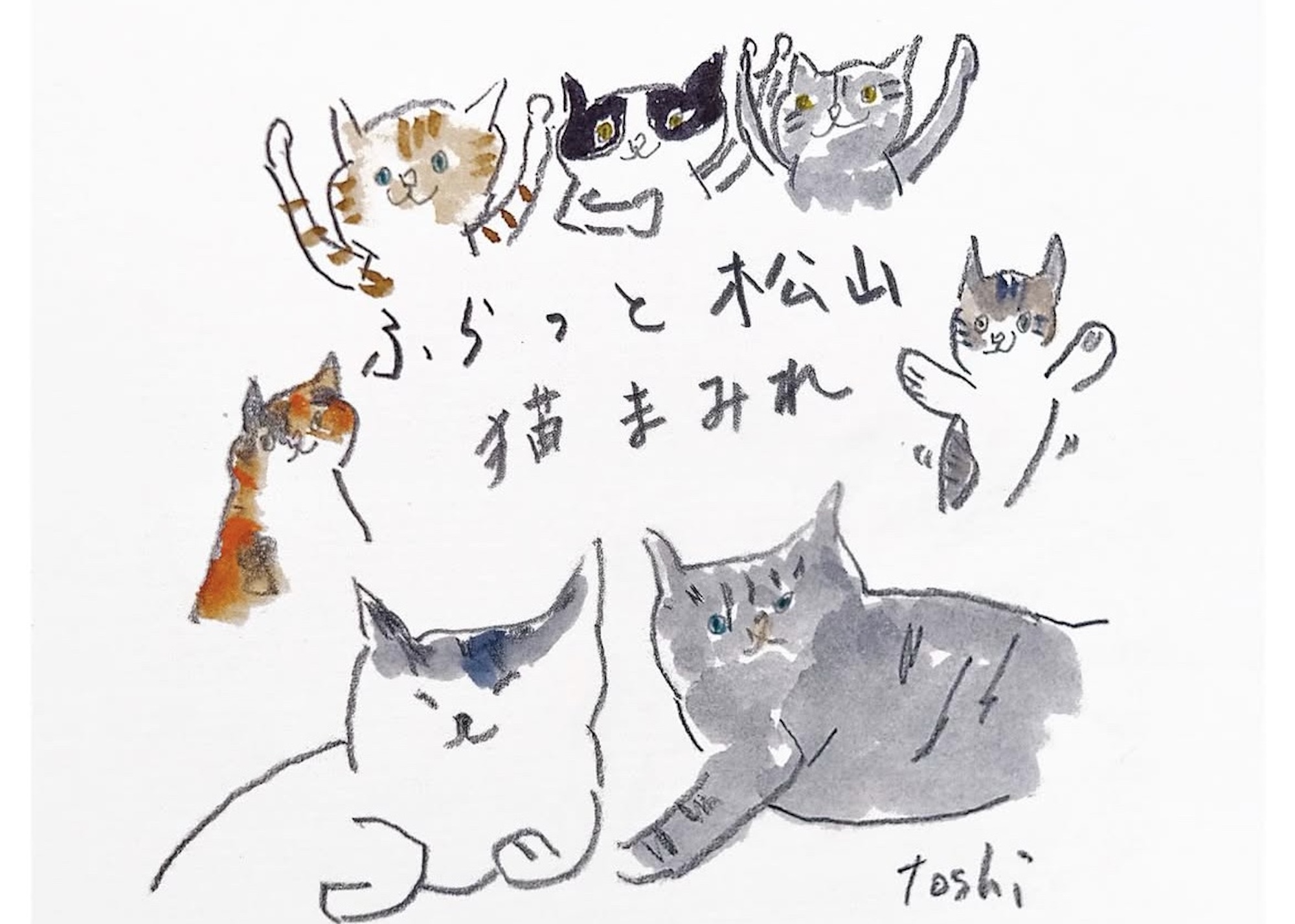 本誌&NEKO連載でおなじみ、イラストレーター・わたなべとしふみさんの個展「ふらっと松山 猫まみれ」が、愛媛・松山のセレクトショップ『erimaki』にて開催中。