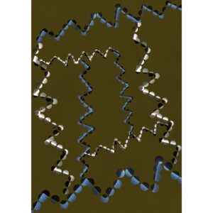 日々、写真で。 連載コラム : 田中せり #3