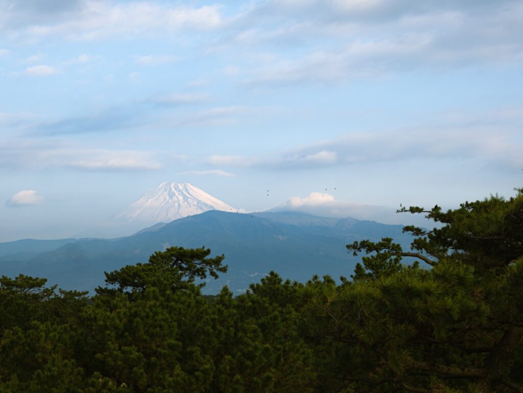 大きい子にも旅をさせよ。海と松原と富士山、そして建築探訪＠沼津。 連載コラム : 在本彌生 #4