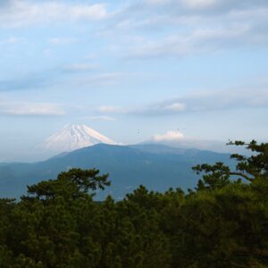 大きい子にも旅をさせよ。海と松原と富士山、そして建築探訪＠沼津。 連載コラム : 在本彌生 #4