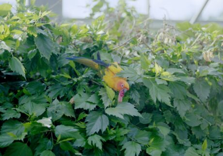 目の前に 伊藤 由圭 27