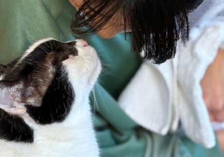 〈LOISIR〉デザイナー・前田敬子による、保護猫・えいたと暮らす日常。 えいた 白黒猫