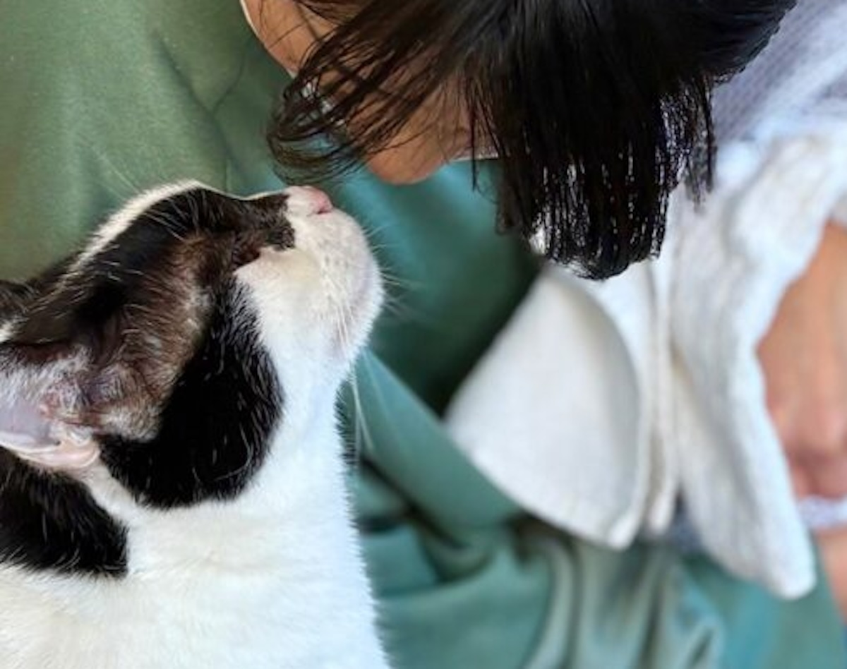 往診はへっちゃら派。【〈LOISIR〉デザイナー・前田敬子による、保護猫