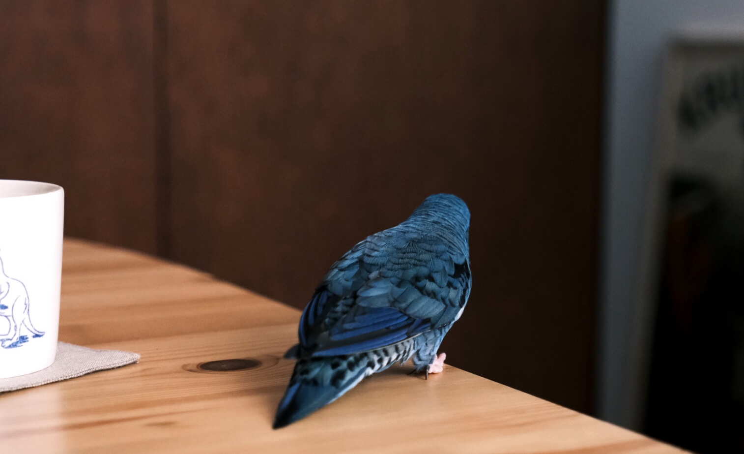 インココ＊ビビアンページ(青系) 楽天市場】インココ 青の通販