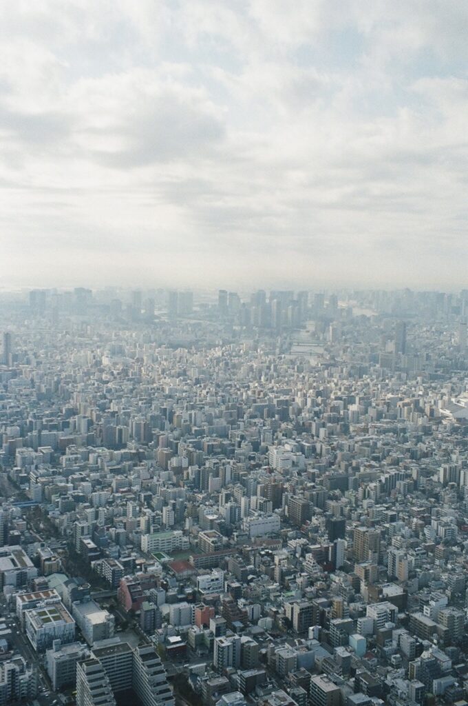 点と点を結ぶ、様々な繋がり。 <i>写真と文：駒沢『TONE』店主・橋口菜花 #4 /コーヒー