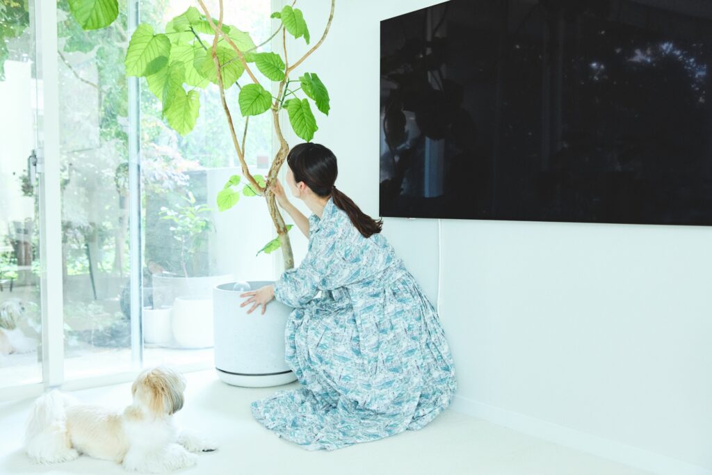 スリムなデザインのモニターなので、どんな種類の植物とも相性がいい。「気分に合わせて、テレビの横にお気に入りの植物を置いたりすれば、空間をコーディネートをする楽しみが広がります」
