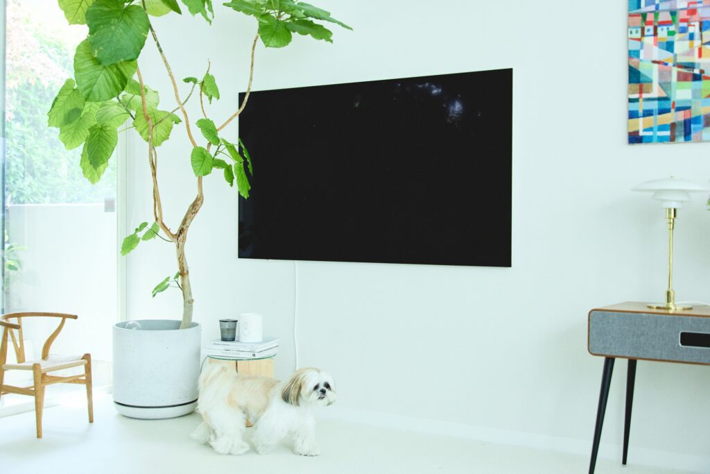 モニターを壁に掛けることでテレビ台が不要となり、ごちゃついて見える配線も最小限に抑えられる。壁にもフィットして、埃も溜まりにくいので掃除も楽に。「犬と猫と暮らしているので、配線がスッキリすると、危なくないですね」
