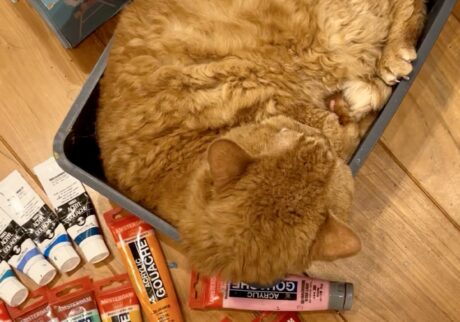 ぎゅうぎゅうです。【黒猫ギネスと茶トラのピムス。仲良し兄弟のベターライフ日記。】黒猫 茶トラ