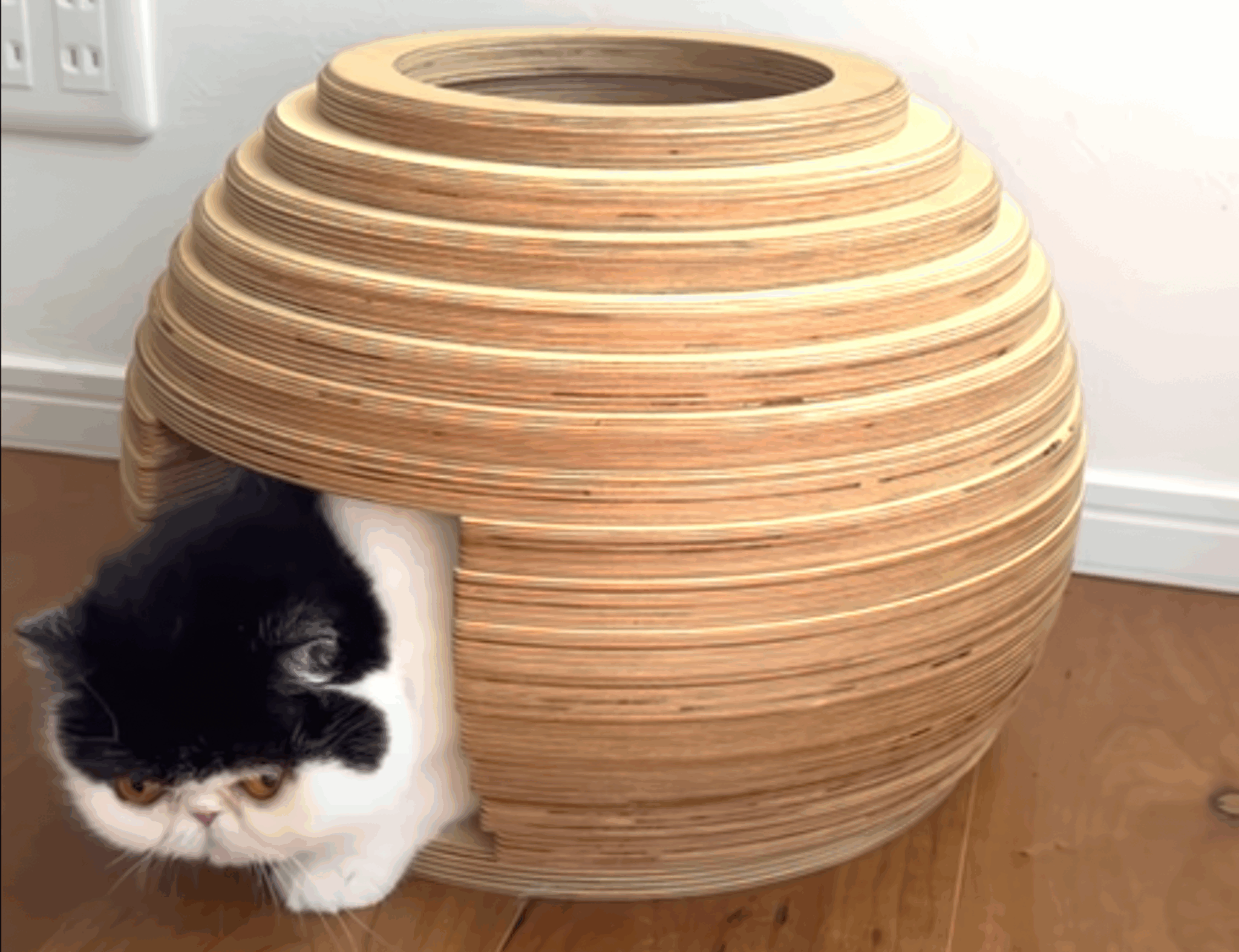 お気に入りナチュラルハウス。【おちょこ、ぽのぽのだより。vol.206】