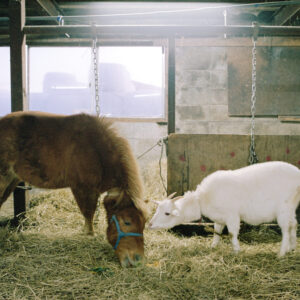 今月の写真家、今日の一枚。野口 花梨