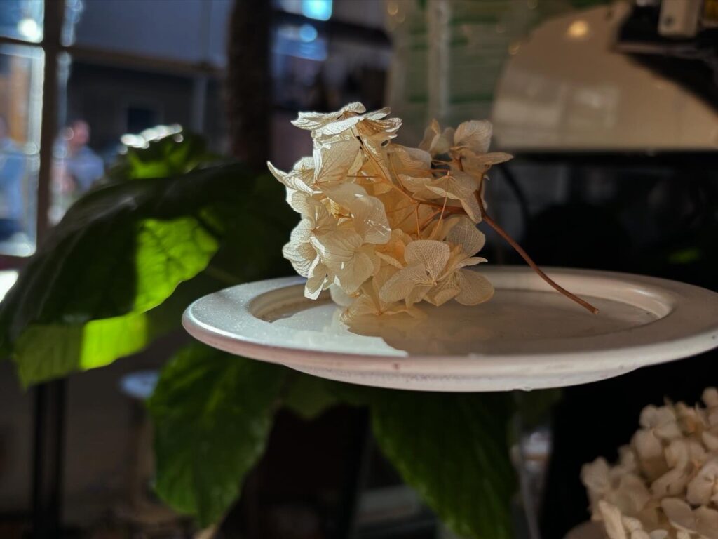 わたしたちの青春、東京・谷中の『COUZT CAFE』ととも写真と文:ササキアイ (文筆家) #4 わたしたちの青春、東京・谷中の『COUZT CAFE』ととも写真と文:ササキアイ (文筆家) #4