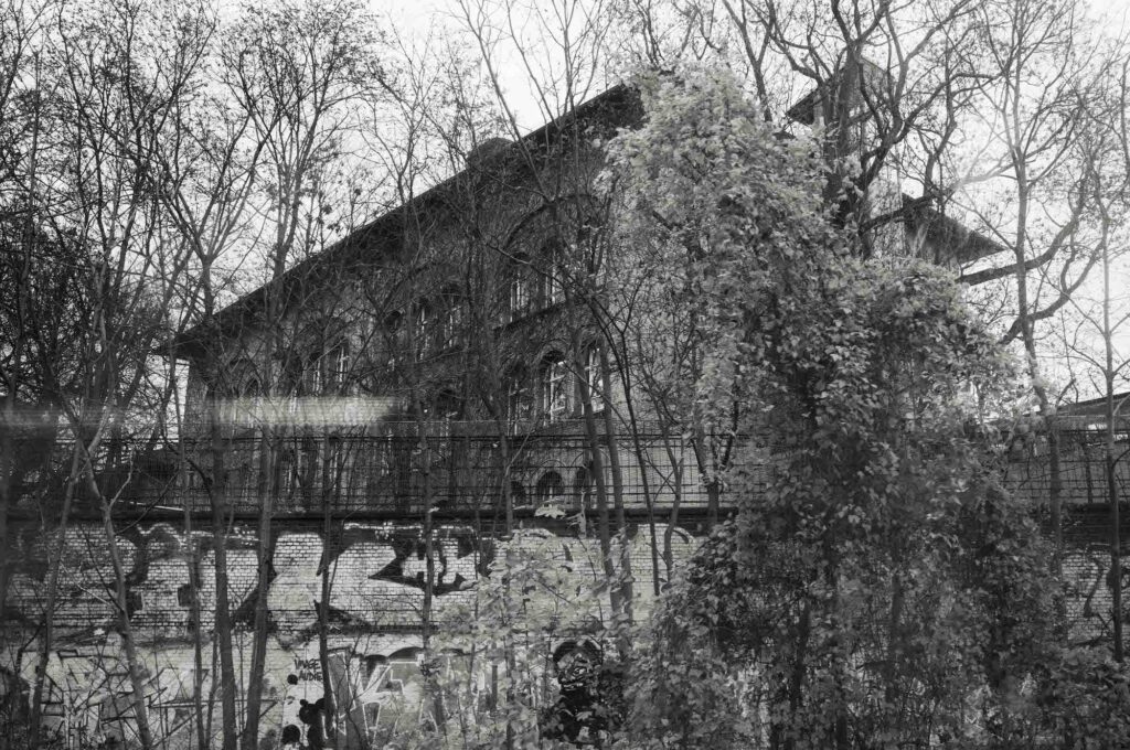 原田教正さんによる写真展「My origin photographs」が、東京・飯田橋『Roll』にて開催。