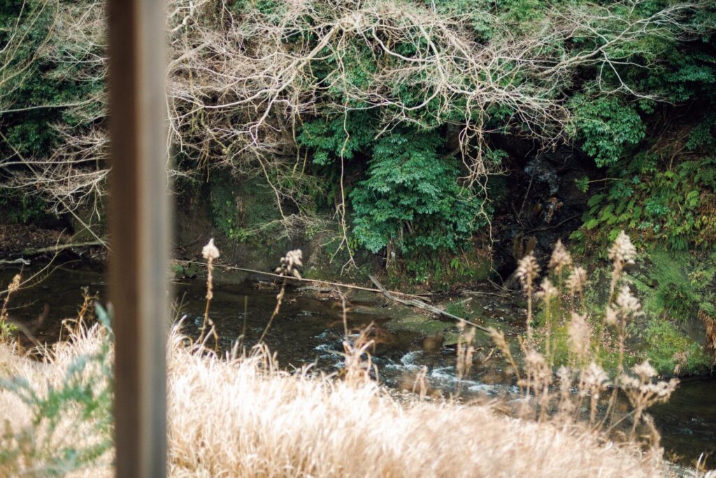 写真家・川内倫子さんの暮らしとセンス。自分だけの視点を持つこと。 (前編)