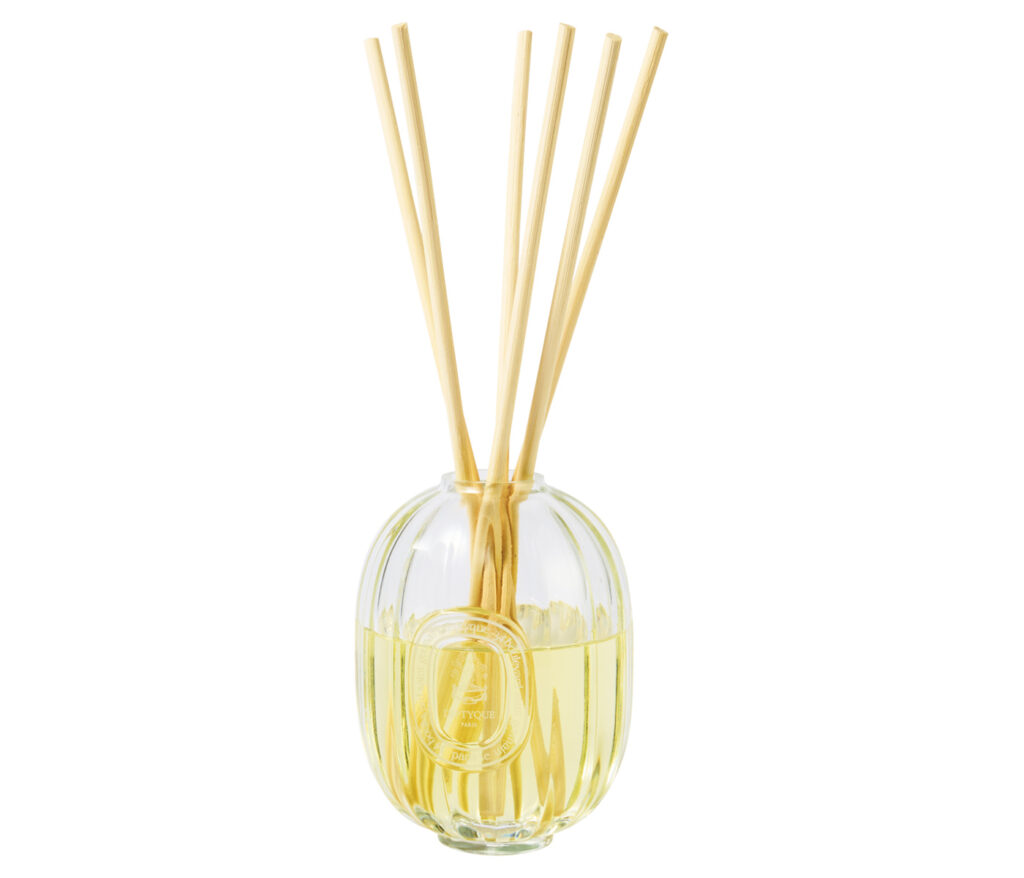DIPTYQUE diffuser DIPTYQUE diffuser