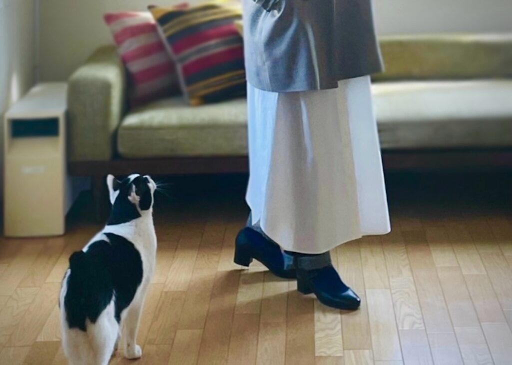 マネージャー気取り。【〈LOISIR〉デザイナー・前田敬子による、保護猫・えいたと暮らす日常。 vol.78】保護猫 えいた