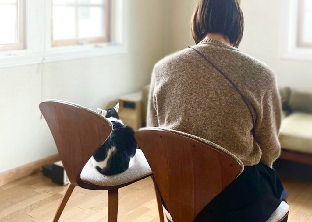 マネージャー気取り。【〈LOISIR〉デザイナー・前田敬子による、保護猫・えいたと暮らす日常。 vol.78】保護猫 えいた