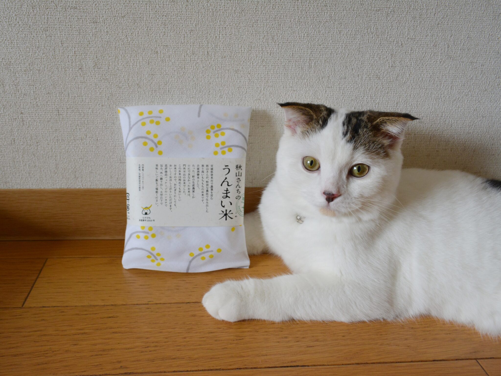 稲穂柄と、赤ちゃんのオレ。【いなほ、オレ物語。vol.235】