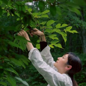 柴田 奈穂子