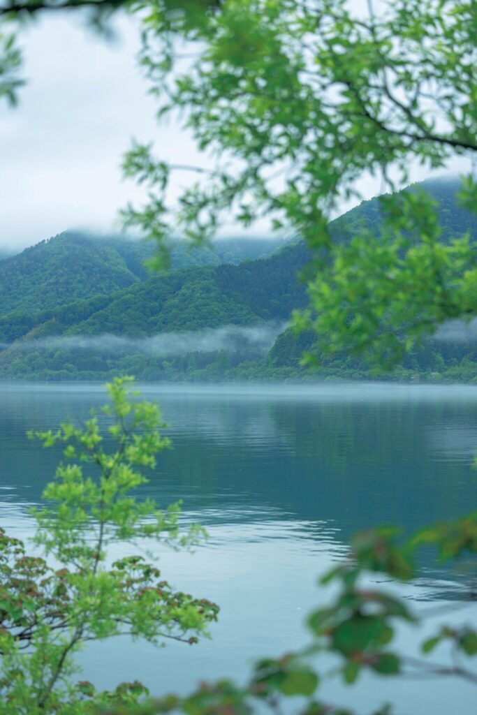 滋賀・奥琵琶湖で聖なる水辺を歩く旅。前編 | 「奥琵琶湖パークウェイ」の風光明媚。琵琶湖の最北端に突き出た葛籠尾半島を走る「奥琵琶湖パークウェイ」は、約20㎞のドライブコース。沿道は春には桜、秋には紅葉に彩られる。沿線には『つづら尾崎展望台』をはじめ、各所にパーキングや自然歩道なども。写真はパークウェイ西側の県道513号葛籠尾崎大浦線沿い、大浦漁港の近く。高湿な空気が音を吸収するからか、山深い地形に外部から閉ざされた感じを受けるからか、琵琶湖は一層、静寂さを増している。 滋賀・奥琵琶湖で聖なる水辺を歩く旅。前編