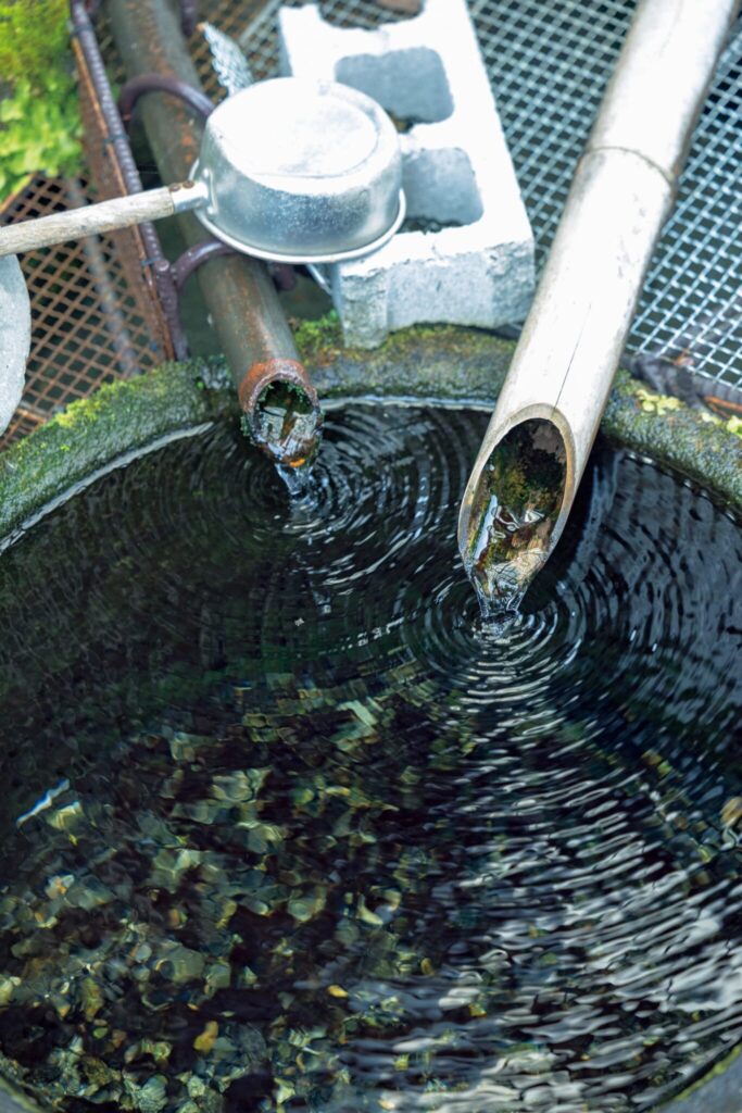 滋賀・奥琵琶湖で聖なる水辺を歩く旅。前編 | 「川端」は、湧き水を利用した炊事場。共同の水路に流れるので、洗濯など水が汚れるような使い方はしないのが住民同士の暗黙のルール。