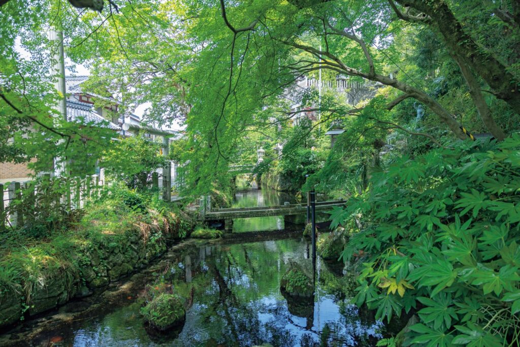 滋賀・奥琵琶湖で聖なる水辺を歩く旅。前編 | 中山道61番目の宿場町、醒井宿の新緑。鈴鹿山脈の霊仙山からの水が湧き出る米原市の醒井宿。風情ある町並みに沿って流れるのは地蔵川。水源の「居醒の清水」は『古事記』『日本書紀』にも登場、日本武尊が傷を癒やした霊水と伝えられ、現在も日に1.5tの水が湧き出している。地蔵川には、清水にしか咲かないという全国でも珍しい水中花の梅花藻や、同じく清水にしか生息しない絶滅危惧種の淡水魚のハリヨが見られ、それらは清冷な水の証左となっている。 滋賀・奥琵琶湖で聖なる水辺を歩く旅。前編