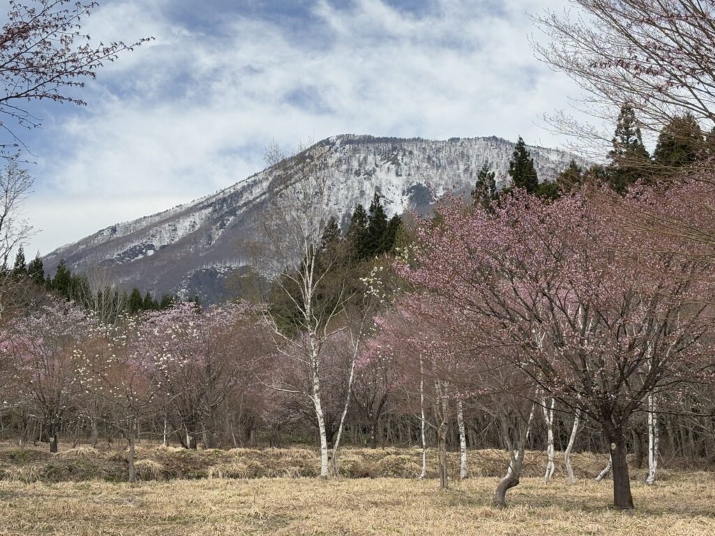 東京から北信州へ。山のある暮らしを選んだきっかけ。写真と文：柴田 奈穂子 (『tohe』店主) #1