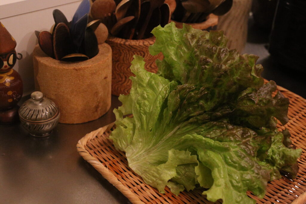 日々のごはんと器、わが家の風景。写真と文:石原文子 (『工芸喜頓』店主) #4 日々のごはんと器、わが家の風景。写真と文:石原文子 (『工芸喜頓』店主) #4