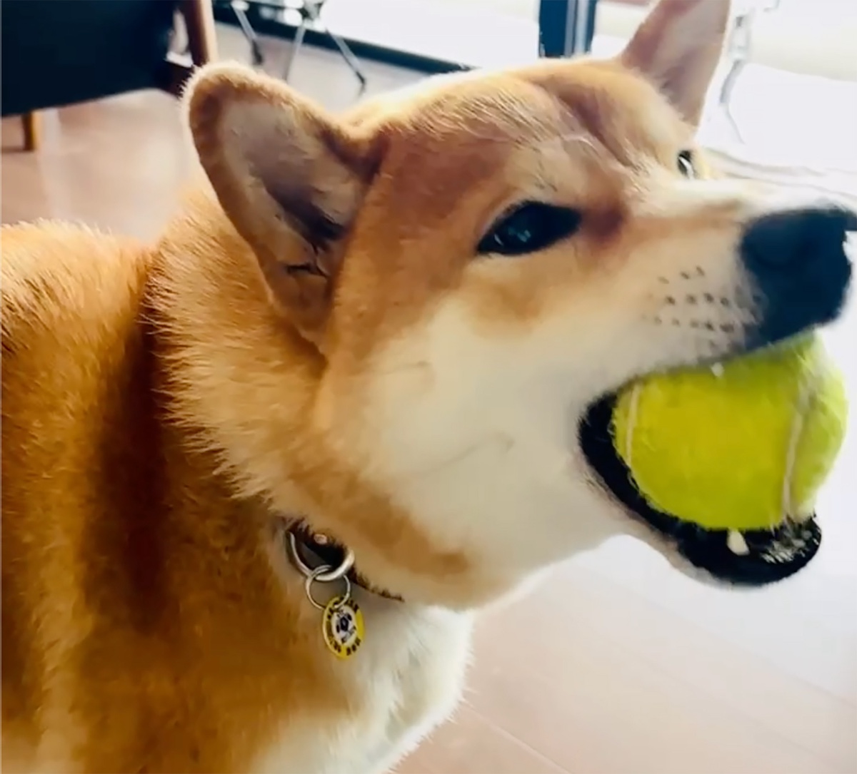 ハルくん、ナイスキャーッチ。