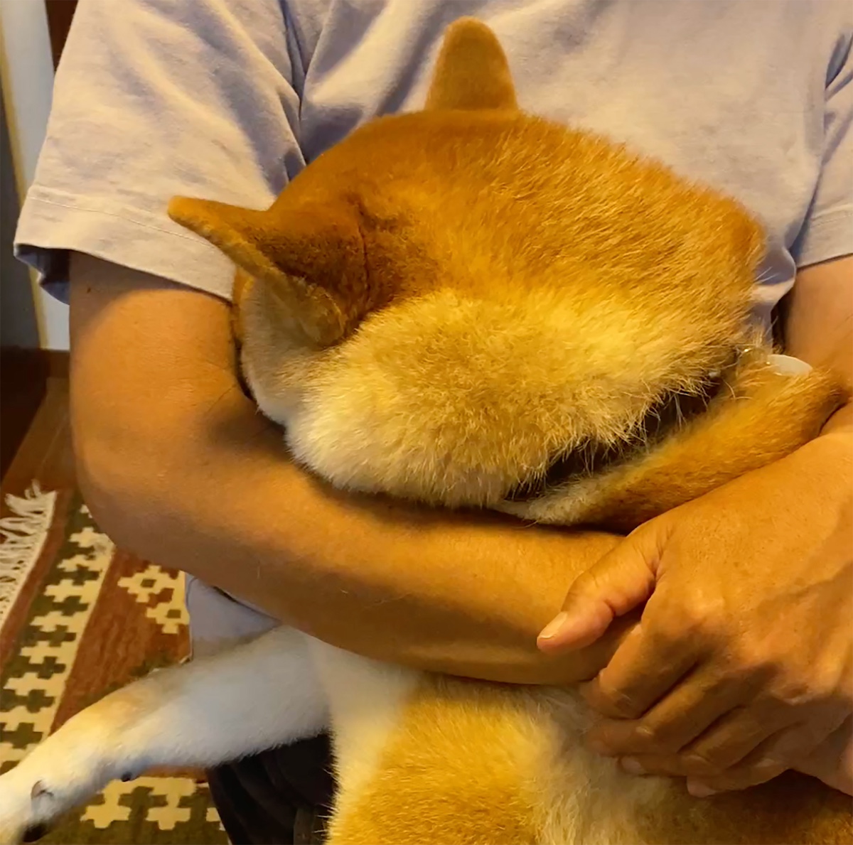 ハルくん、甘ったれ寝中。
