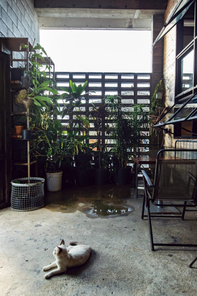 沖縄・今帰仁のカフェ『波羅蜜』で見つけた、理想のコーヒーライフ。