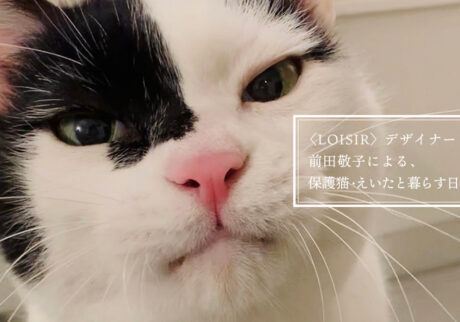 〈LOISIR〉デザイナー・前田敬子による、保護猫・えいたと暮らす日常。