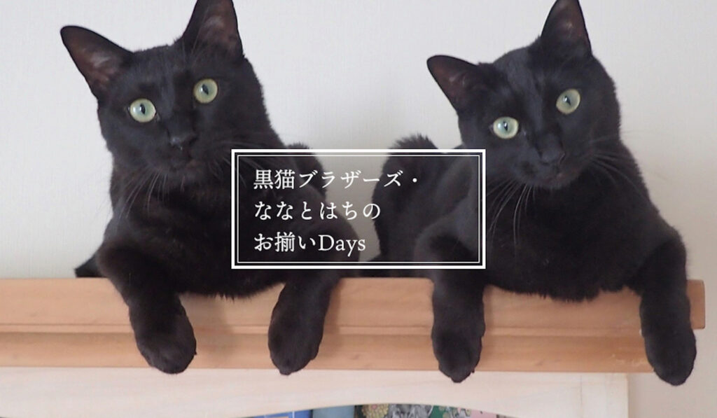 黒猫ブラザーズ・ななとはちのお揃いDAYS。