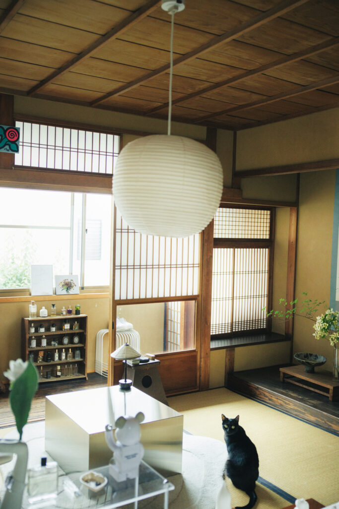 築100年の京町家にモダンな家具を合わせて、古い家の新しい表情を楽しむ。古きよき日本の文化に惹かれて東京から京都へ移住した、河野 涼さんの暮らし。