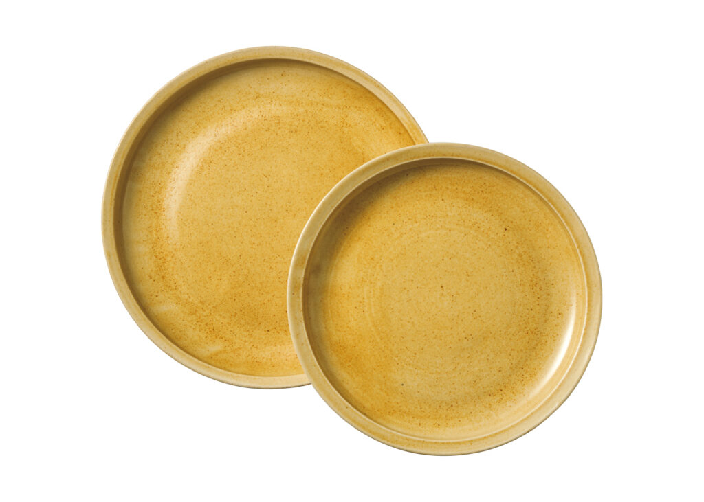 1+0 FOR ARTS&SCIENCE curry plate