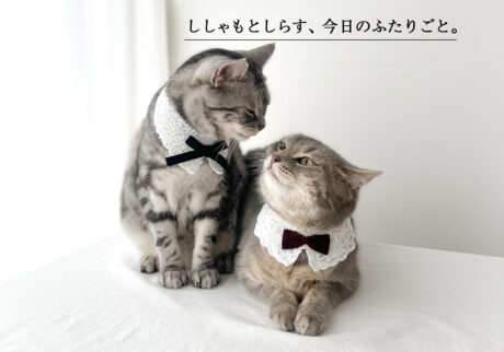 ししゃもとしらす、今日のふたりごと。