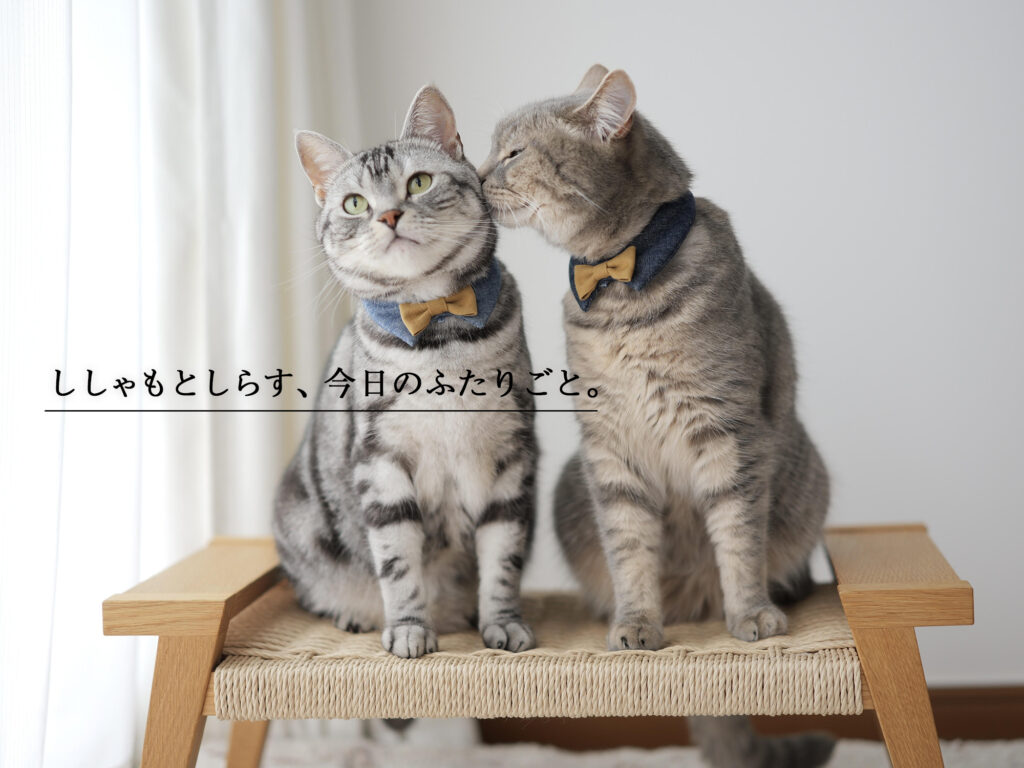ししゃもとしらす、今日のふたりごと。