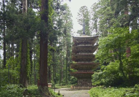 神聖な空気が流れる、山形県・羽黒山で”生まれかわりの旅”を。