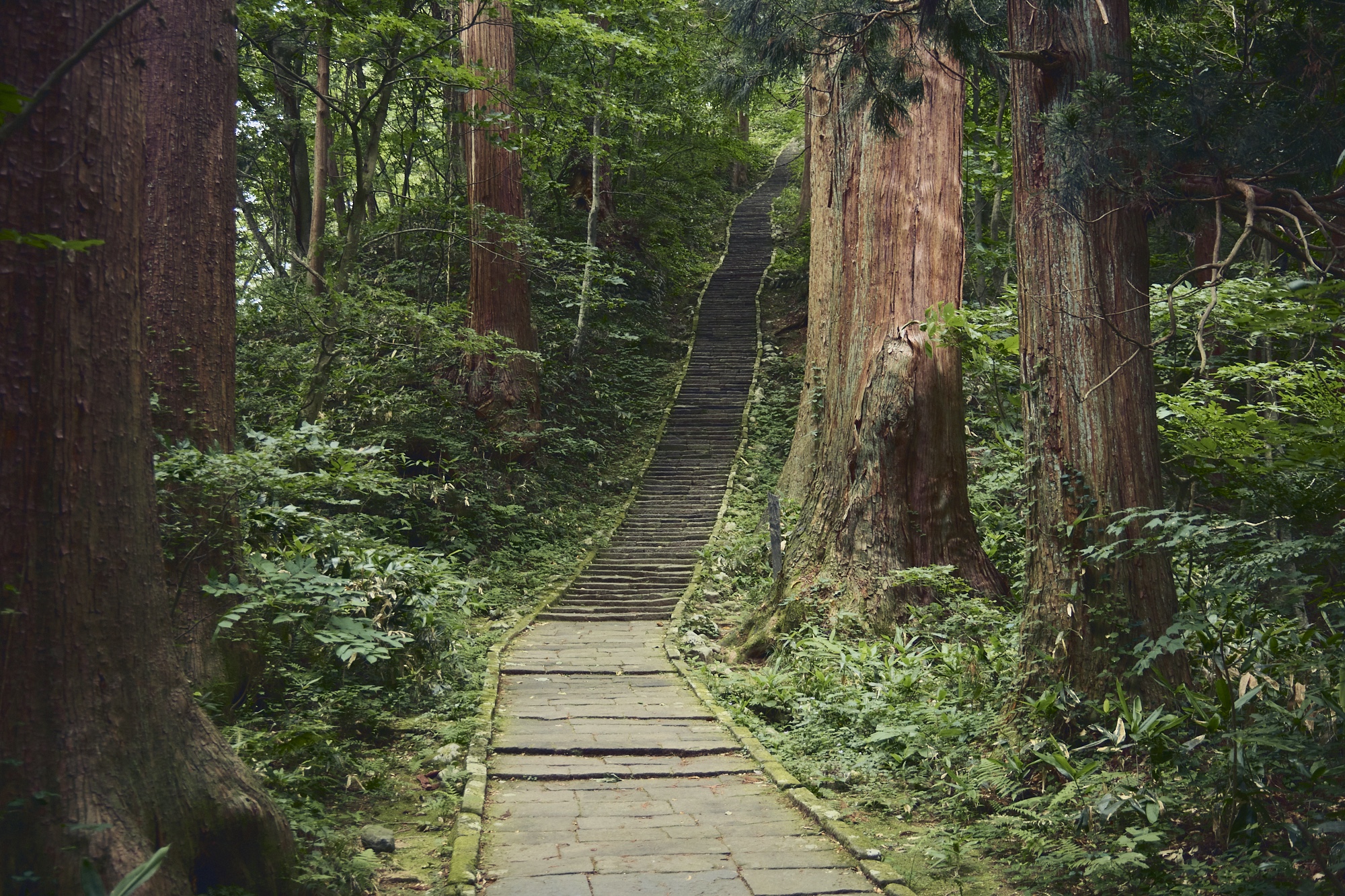 神聖な空気が流れる、山形県・羽黒山で”生まれかわりの旅”を。