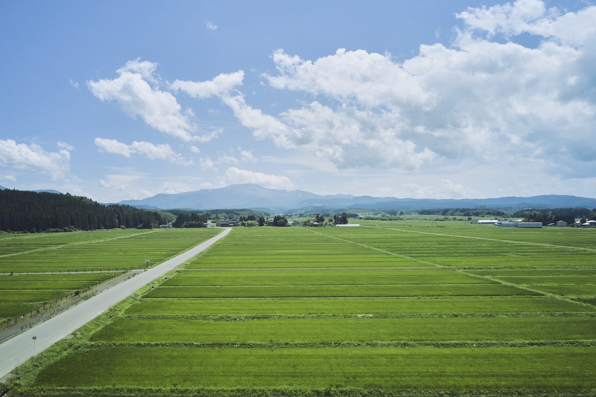 青々とした稲の絨毯が一面に広がる、米どころ・庄内平野ののどかな夏の風景。奥にそびえ立つのが、標高1984mの月山と、標高1500mの湯殿山。夏の間のみ登拝することが可能。登山の準備をしっかりして、参拝するのがおすすめ。