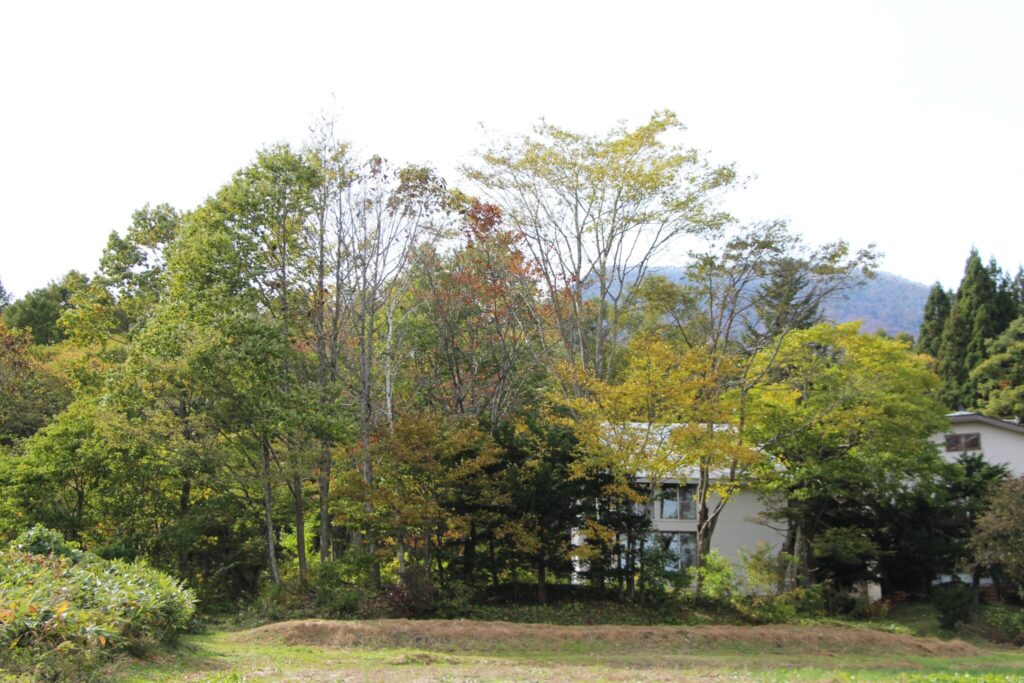 東京から北信州へ。山のある暮らしを選んだきっかけ。写真と文：柴田 奈穂子 (『tohe』店主) #1
